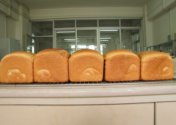 Emulsionante y estabilizador de pastel soluble en agua, kosher y no transgénico, para ingredientes de panadería
